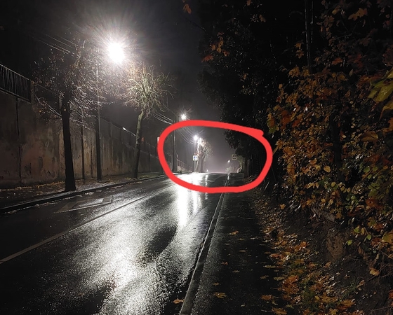 Mamą sustingdė vaizdas: automobilis perėjoje praskriejo prie pat vaiko