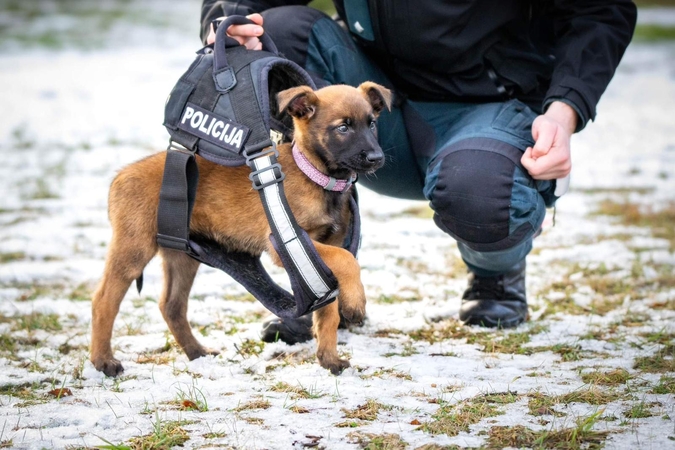 Kauno policijos pareigūnų gretas papildė meilutė keturkojė