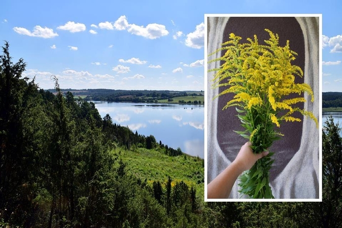 Rykštenės okupuoja Kadagių slėnį – ragina drąsiai skinti