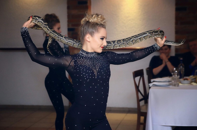 Egzotika: įveikusi gyvačių baimę Vaida atlieka numerį su pitonu.