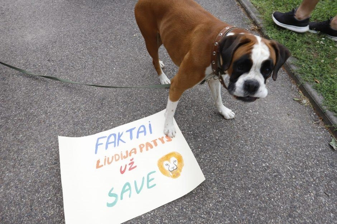 Prie Lietuvos zoologijos sodo – Kauno jaunimo piketas