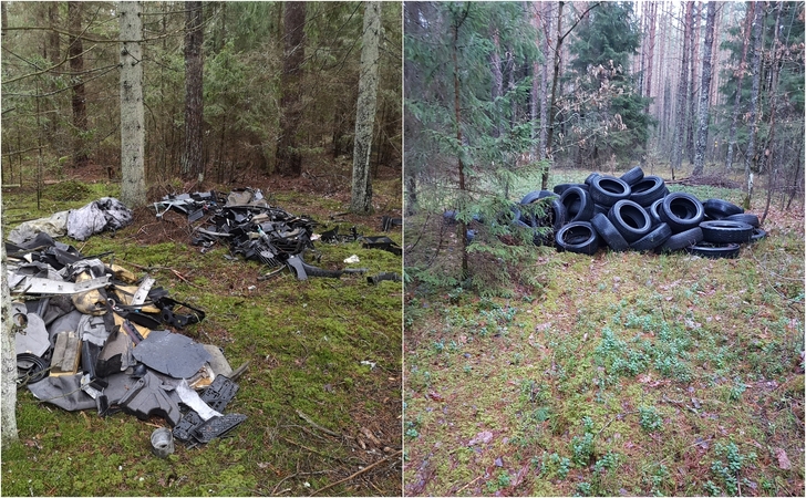 Miškininkai kviečia į talką „Miško kuopa“