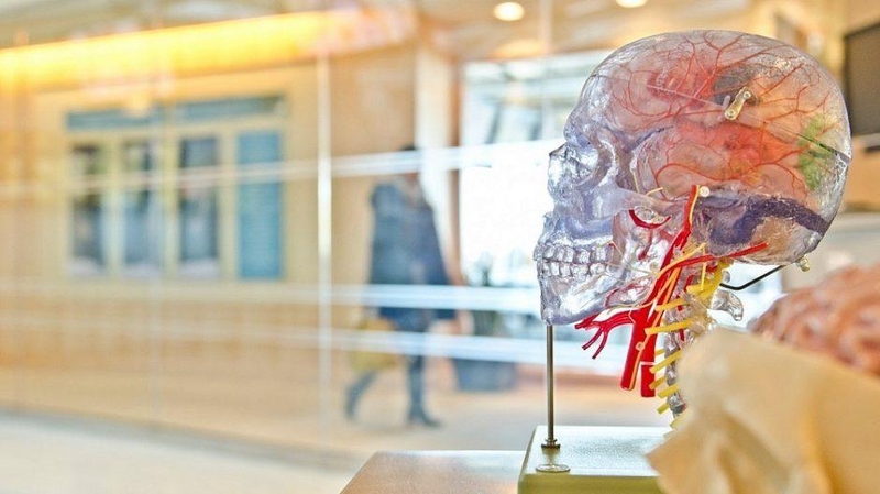 Neurologija: gydymosi būdai, apie kuriuos galbūt dar nežinojote