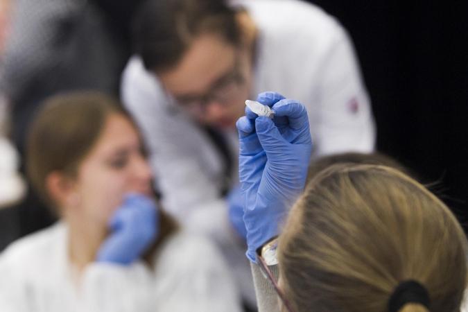Gabiausi Kauno moksleiviai lankys universitetus