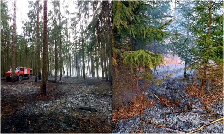 Pravieniškėse išdegė 40 arų miško paklotės