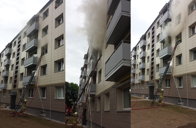 Gaisras Vilijampolėje: iš degančio buto išgelbėtas šuo