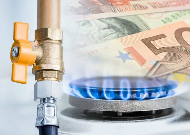 Svarbu: patvirtintos naujos elektros ir dujų kainos gyventojams  