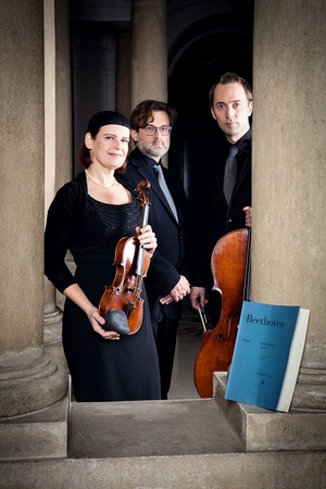 Lygis: „TrioVanBeethoven“ muzikantai pripažinimo sulaukė ir grodami ansambliu, ir kaip solistai.
