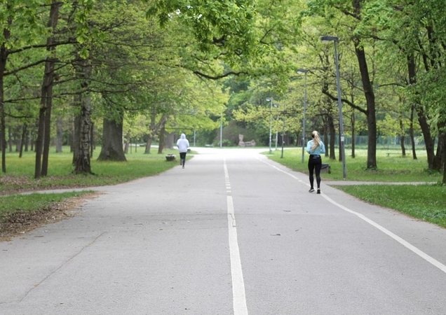 LSU mokslininkių tyrimas padeda paneigti mitus apie paauglių mitybą