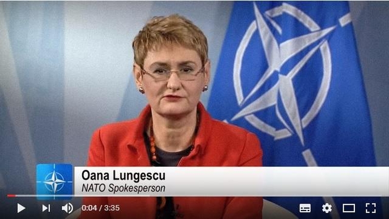 Oana Lungescu