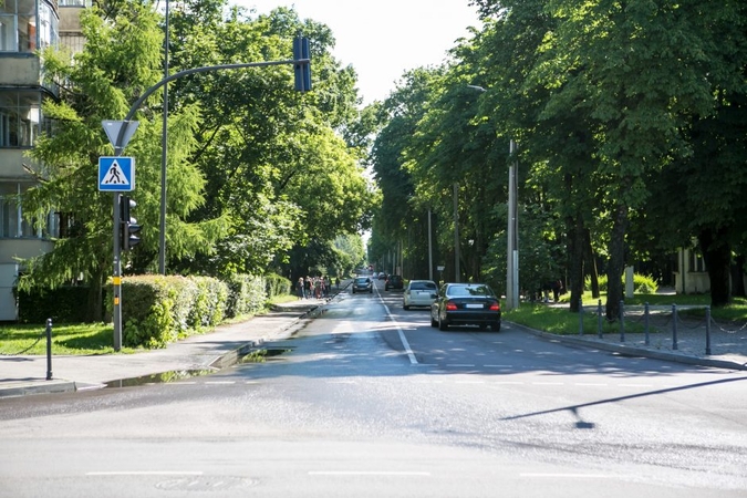 Vydūno alėjos gyventojai skundžiasi dėl intensyvaus eismo: kasdien laidojame ežiukus ir voveraites