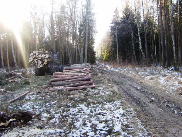 Palangoje pradedami aplinkkelio tiesimo darbai