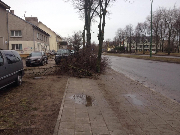 Įspėjimas vairuotojams: dėl stipraus vėjo ant kelio gali būti prikritusių medžių