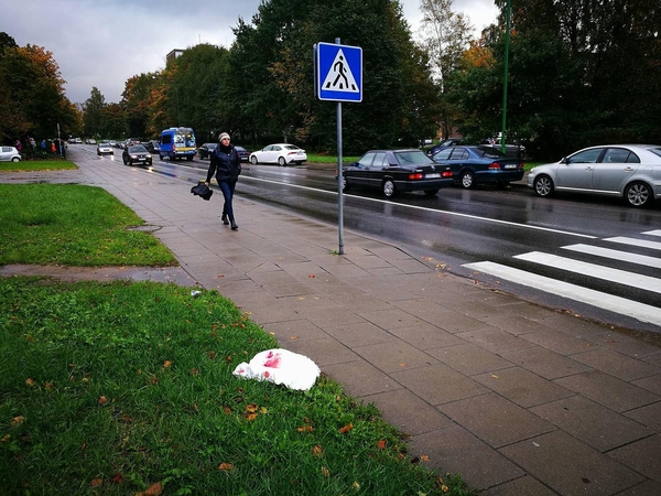 Debreceno gatvėje partrenkė moterį