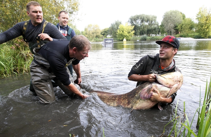 Trinyčių tvenkinys