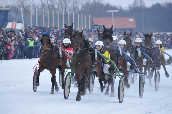 „Sartai 2015“ ledo taku skries 71 ristūnas