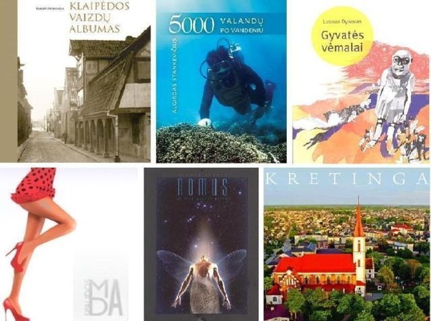 Metų knygos rinkimų aistras kaitins leidinių pristatymai