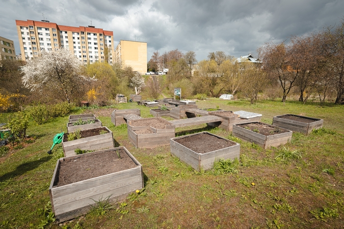 Šilainiai – lyg Atėnų Akropolis