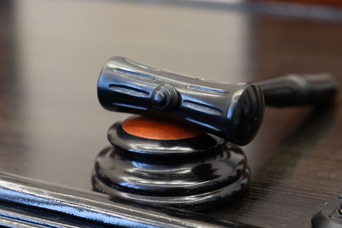 Dėl galimo telefono pasisavinimo teisiamai politikei Margaitienei – 25 tūkst. eurų ieškinys