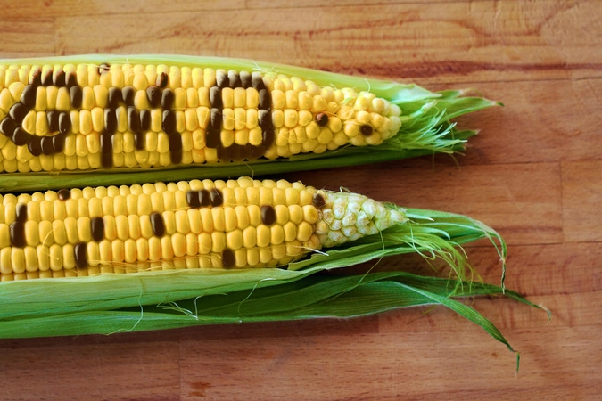 Daugelis Lietuvos gamintojų nenaudoja produktų su GMO 