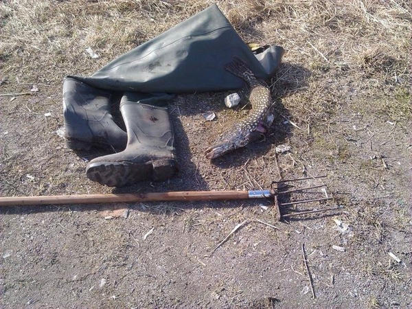 Po nelegalios žvejybos – nei lydekų, nei bridkelnių