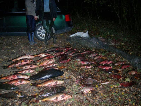 „Romantiškas“ vakaras kainuos bent 12 tūkst. litų