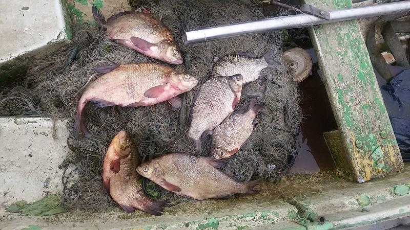 Brakonieriui sugautų karosų neteks paragauti