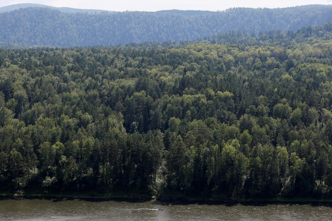 Rusijos pareigūnai ieško Sibiro taigoje dingusių penkių vaikų