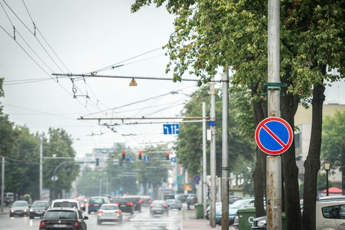 Savanorių prospekte neliks 80 medžių