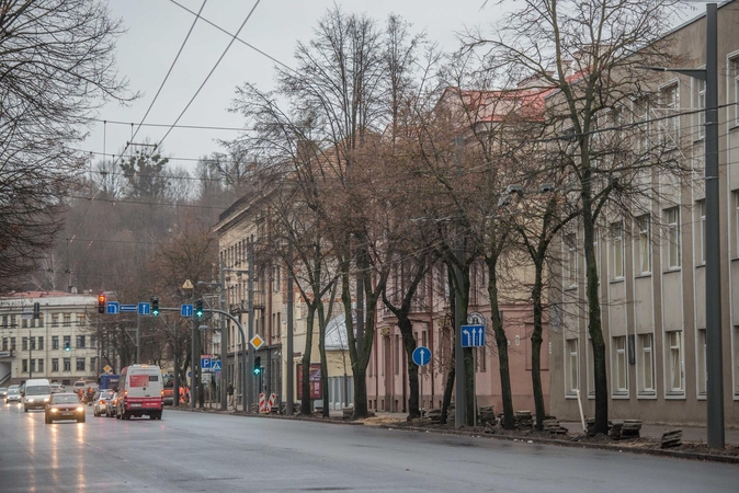 Vytauto prospekte laukia dar viena staigmena – nebeliks senų medžių