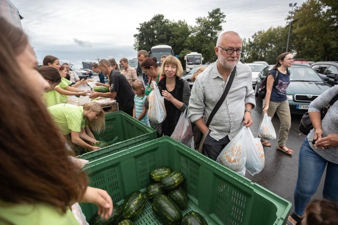Kauniečiai neatsispyrė nemokamiems arbūzams