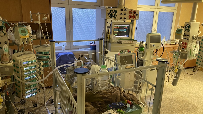 Trimečio krūtinėje plaka nauja širdis: savojo Kalėdų stebuklo jau sulaukėme