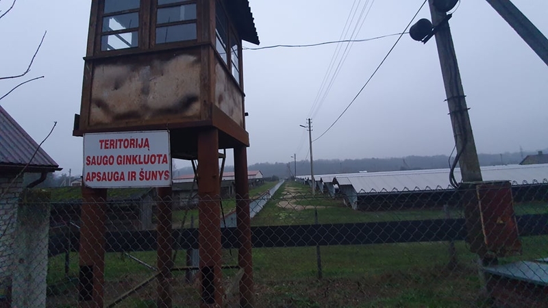 „Danmink“ ūkyje užmigdoma 3 tūkst. audinių, kailius saugos šaldikliuose