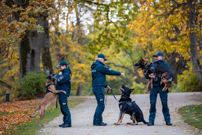 Pernai Klaipėdos pareigūnams aktyviai talkino keturkojai kolegos