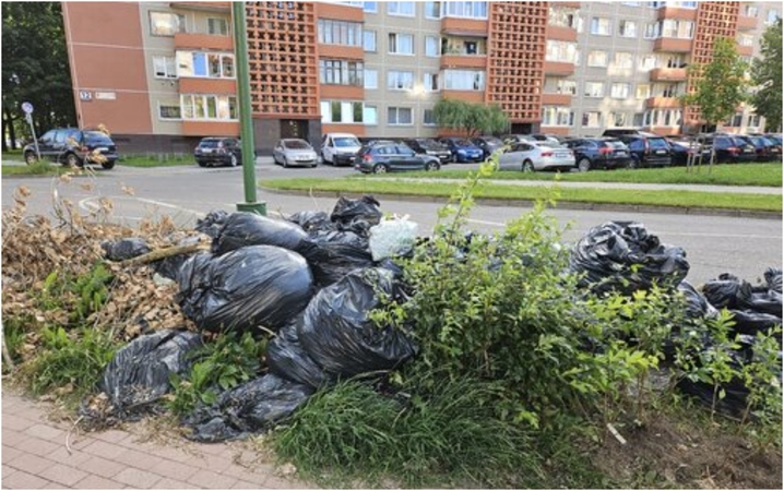 Sutvarkys: šiukšlių krūva auga nuo praėjusių metų, tačiau žadama, kad greitu metu jos nebeliks.