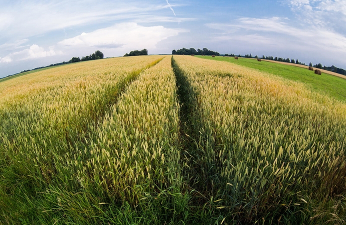 "Agrowill Group" iš DNB ir "Swedbank" skolinasi 39 mln. eurų