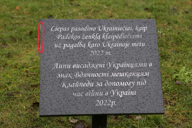 Įamžino: Sąjūdžio parke prie ukrainiečių Klaipėdai dovanotų liepų atminimo lenta neilgai buvo kaip nauja – kažkas jau spėjo ją apdaužyti.