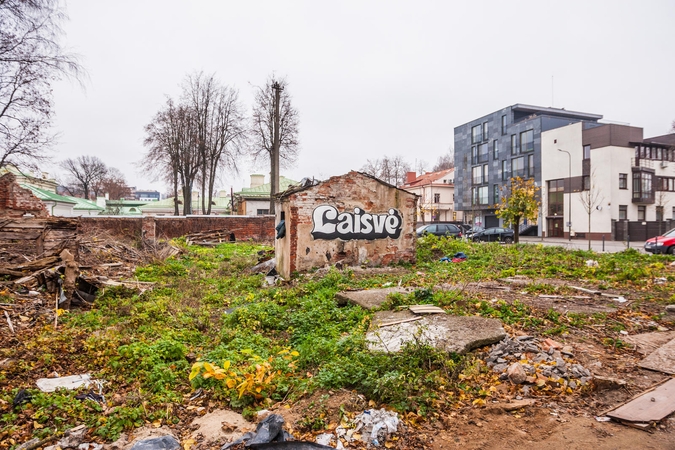 Kauno centre – šiukšlynas su žiurkėmis