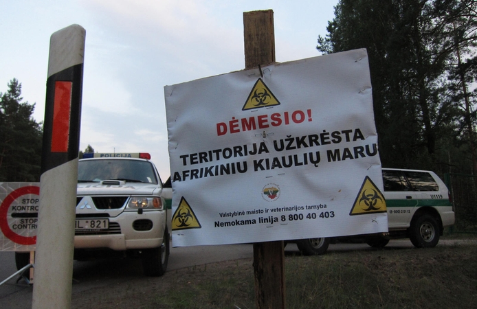 Afrikinis kiaulių maras toliau plinta