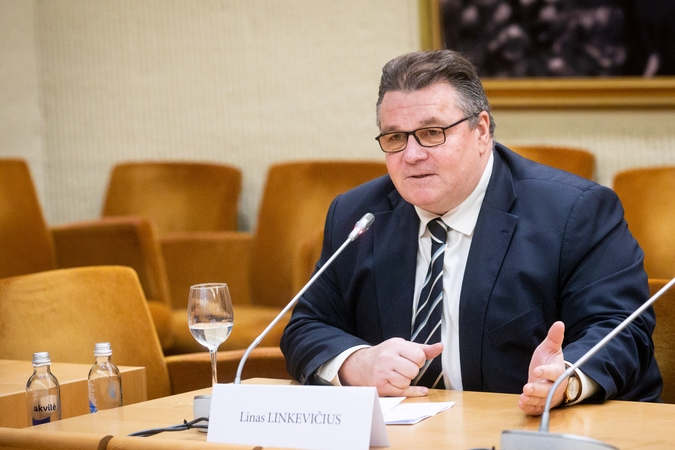 Linkevičius apie amerikiečių ir ukrainiečių susitarimą: neskubėčiau gerti šampano