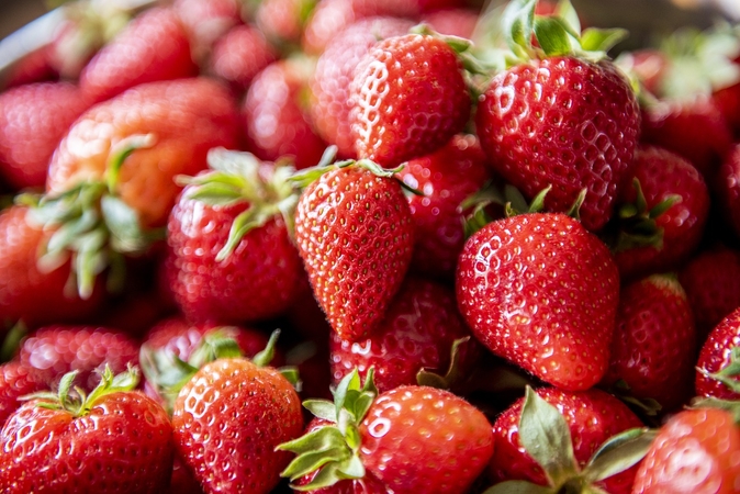 Kaišiadorių rajone pavogta apie 100 kg braškių