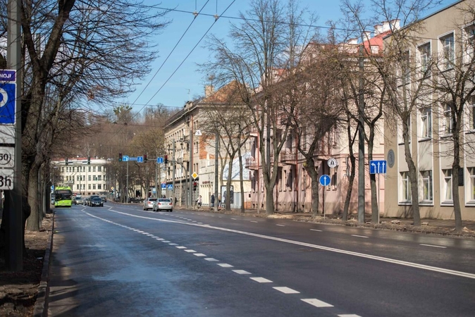 Permainos Vytauto prospekte tęsiasi: persodins visus medžius