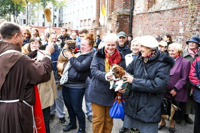 Invazija: Kauną okupavo gyvūnai