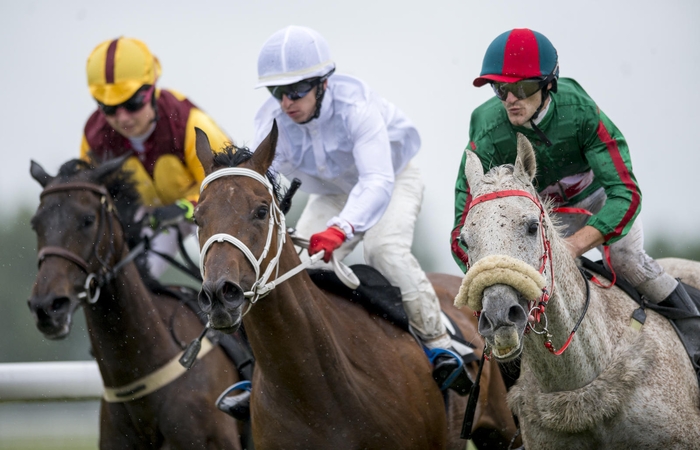 Nematyti Lietuvos stebuklai: Panemunės keliu – link rekonstruoto hipodromo