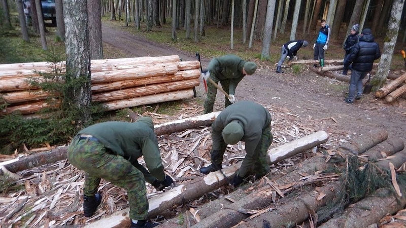 Punios šile atstatyta partizanų vadavietė