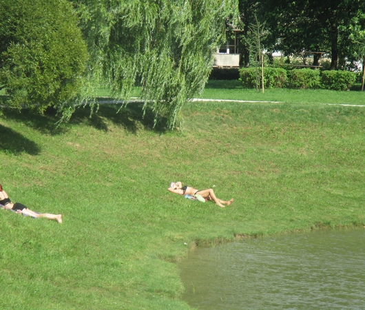 Galima ar negalima degintis viešose vietose?