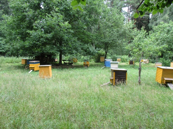 Kokių orų sulauksime artimiausią rugpjūčio dešimtadienį