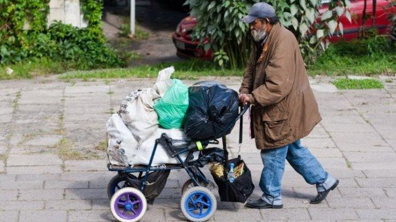 Benamius tyrinėjusi mokslininkė: mums jų reikia