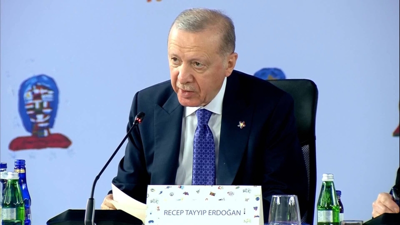 Recepas Tayyipas Erdoganas