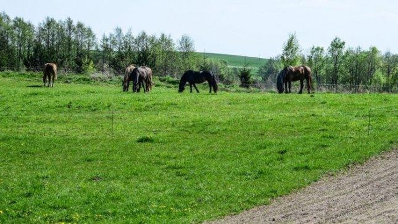 Ūkininkai skundžiasi žemdirbystės logikai prieštaraujančiais reikalavimais